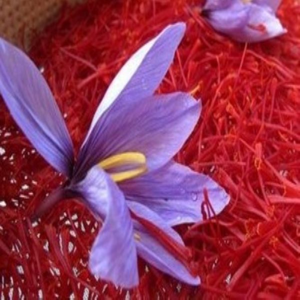 Saffron