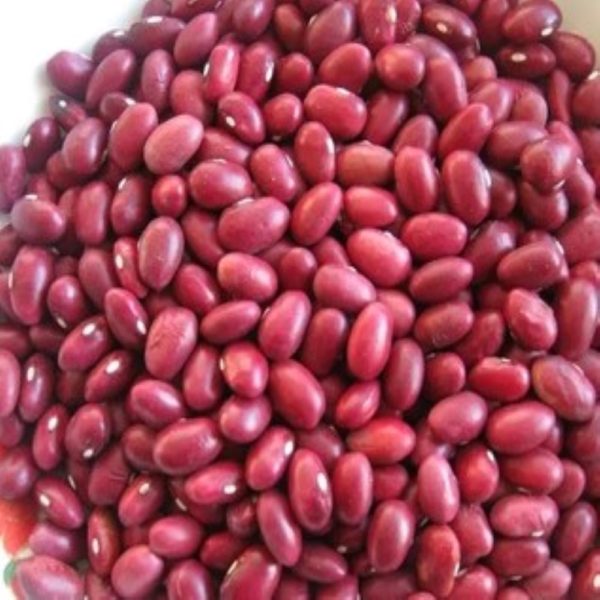 Rajma Red