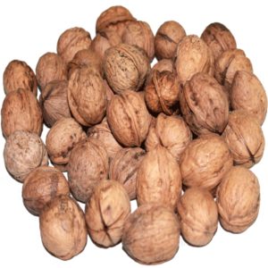 Walnut