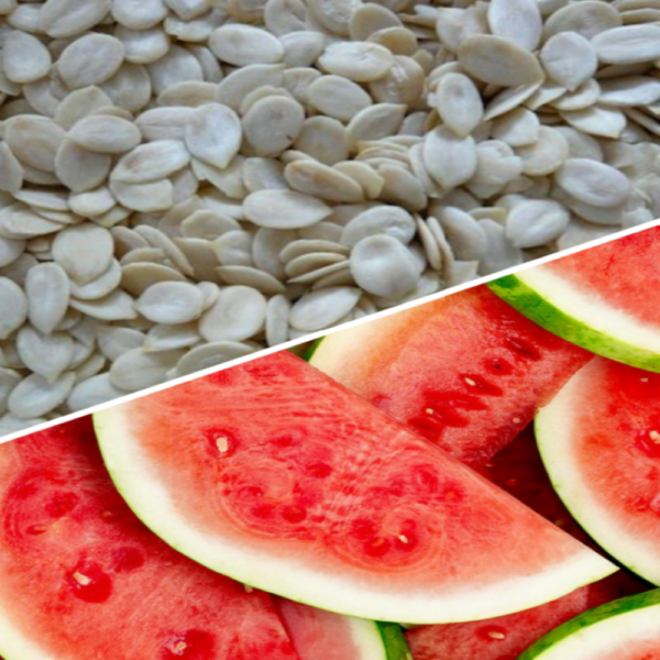 watermelon-seeds